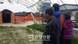애꿎은 닭 매몰시키려면 나까지 묻어주시오