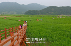 순천만서 25일 ‘제5회 에코 국제걷기대회’개막