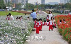 태화강대공원 초화단지 봄꽃 만개…관람객 편의 위한 ‘방문객 지원센터’ 운영