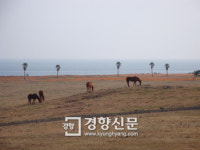 제주 올레길 2년6개월만에 새 코스···성산 바다 끼고 걷는 ‘3-B코스’ 개장