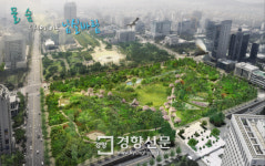 대전시 “콘크리트 걷어낸 도심 광장에 생태공원 조성”
