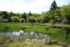 [포토뉴스]제주 ‘숨은물뱅듸’ 람사르 습지 인증