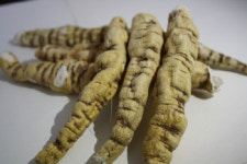 백수오 논란 내츄럴엔도텍 시총 한달새 1조4000억원 증발