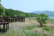 찰칵! 속도를 지우고, 고요를 담다