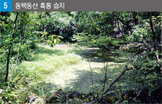 ‘제주도’ 놀러 가십니까? 천혜의 생태·지질 공원 ‘자연을 배우러 갑니다’