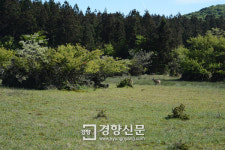 ‘4대강 습지’ 41% 감소는 어떻게 설명하죠?