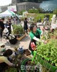 [경향포토]이런 텃밭 어때요