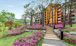 걷고 싶다, 별빛 동강