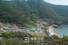 멸종위기 석곡·풍란 한 포기는 섬의 자산, 주민들이 피워낸 명품마을