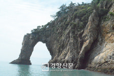 멸종위기 석곡·풍란 한 포기는 섬의 자산, 주민들이 피워낸 명품마을