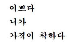 ‘이쁘다’·‘니가’·‘가격이 착하다’ 표준어로 추가 검토