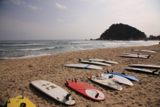 양양군, 동산포·죽도 해변 서핑 메카로 육성