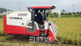 고흥에서 장마·태풍 딛고 국내 첫 ‘벼 2기작 수확’