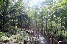 휴가철 수도권 자연휴양림 추천