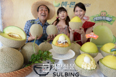 [경향포토]메론빙수 첫선