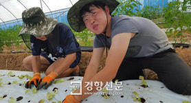 “우린 귀농이 아니라 ‘취농’이죠”
