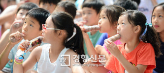 [경향포토]시원한 쭈쭈바