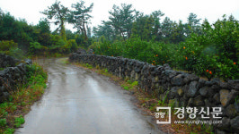 제주올레, “제주 진짜 속살 느껴봐” 외국 여행객에게 ‘손짓’