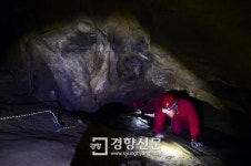 6번 국도 타고 평창 까지…억겁이 빚은 예술, 동굴에도 꽃이 피었네