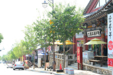 엄마·아빠 앨범에서 보았던 그 불국사, 수학여행 1번지 경주