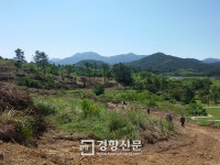 경남 함안 가야시대 ‘말이산 고분군’ 정비업체가 훼손