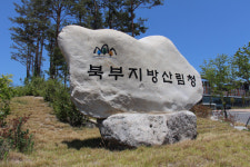 북부지방산림청, 다문화가족 대상 ‘나눔의 숲’ 캠프 진행