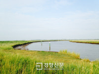 영국, 제방·하천 사이 갈대밭 조성…홍수 조절 ‘자연’에 맡겨 [커버스토리-해외 기후변화 적응은?]