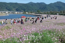 광양 전통 숯불구이축제에 전국서 27만여명 찾아