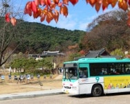 닭요리 전문점 65곳 ‘역사만큼 깊은 맛’…“어느 집이 맛있나 묻지 마세요”