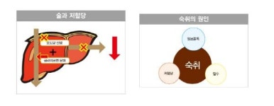 당뇨병에 대해 당신이 모르는 것?
