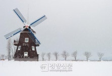 순천만국가정원 아름다운 겨울풍경 연출, ‘관광객 손짓 ’