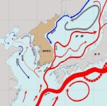 한반도 주변 해류도 국내 첫 완성