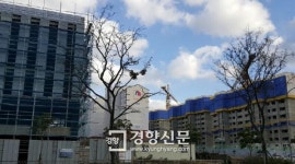 짓고 또 짓는 제주, ‘골재 바닥’