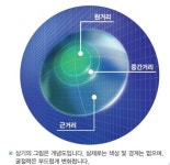 HOYA 노안교정용 누진다초점하드콘택트렌즈 “국내 판매 본격화”