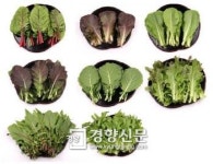 온라인 판매 유기농산물 믿고 드세요···잔류농약 검출 ‘0’
