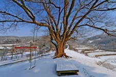 여기서 찾을 수 있을까, 내 순수의 시절…충북 제천 진소마을
