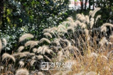 서울 도심 속 ‘습지’는 어떤 모습?…송파구, 세계 습지의 날 맞아 ‘방이습지’ 소개