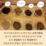 [카드뉴스] ‘식용곤충’의 세계··· “우리도 궁금해요”