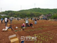 인천시 봉사단체·사회복지기관에 텃밭 무료 분양
