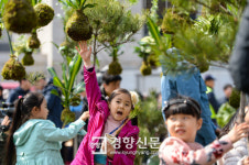 [포토뉴스]“파인애플처럼 생겼어요”