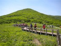 ‘천상의 화원’ 인제 곰배령 탐방로 오늘부터 개방