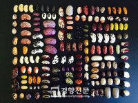 희망의 싹이 자란다! 팔레스타인의 씨앗 프로젝트