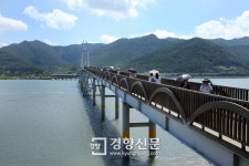 강진군, ‘전라도 탄생’ 1000년 기념 가로수길 만든다