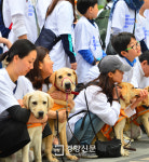 [포토뉴스]시각장애인의 ‘동반자’