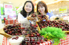사계절 과일된 체리, 마트 판매 9위까지 올라