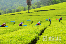 [경향이 찍은 오늘]5월5일 어린이날 왜 기념하는지 아세요?