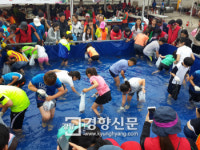 제주, 바다에서 즐길래 산에서 즐길래…자리돔 먹을래 도새기 먹을래