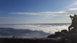 신이 펼친 거대한 식탁…황홀한 구름 위 산책 - ‘아프리카의 유럽’ 케이프타운