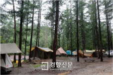 산림청, 7∼8월 불법 야영장 등 산림 내 위법행위 집중단속