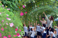 따고박고옷수선 | [경향포토]조롱박 따 볼까?
